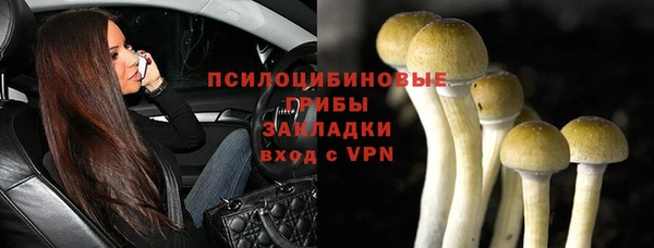 PSILOCYBIN Куйбышев