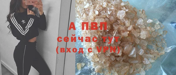 PSILOCYBIN Куйбышев