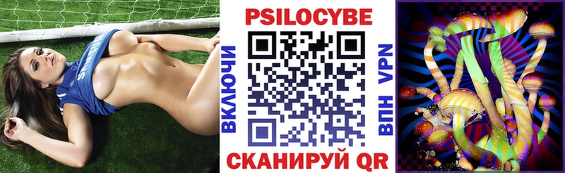 Купить  Полярный  Псилоцибиновые грибы MAGIC MUSHROOMS 